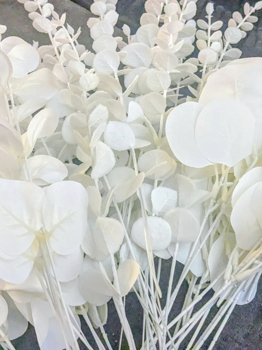 30 Pcs White Faux Greenery Bundle - Mixed Artificial Eucalyptus & Ficus Stems